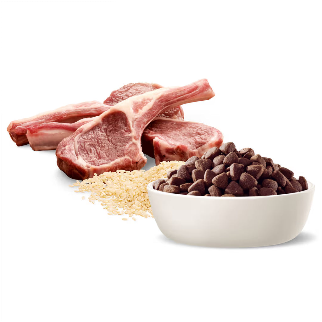 Advance Medium Breed Adult Dog Food Lamb with Rice