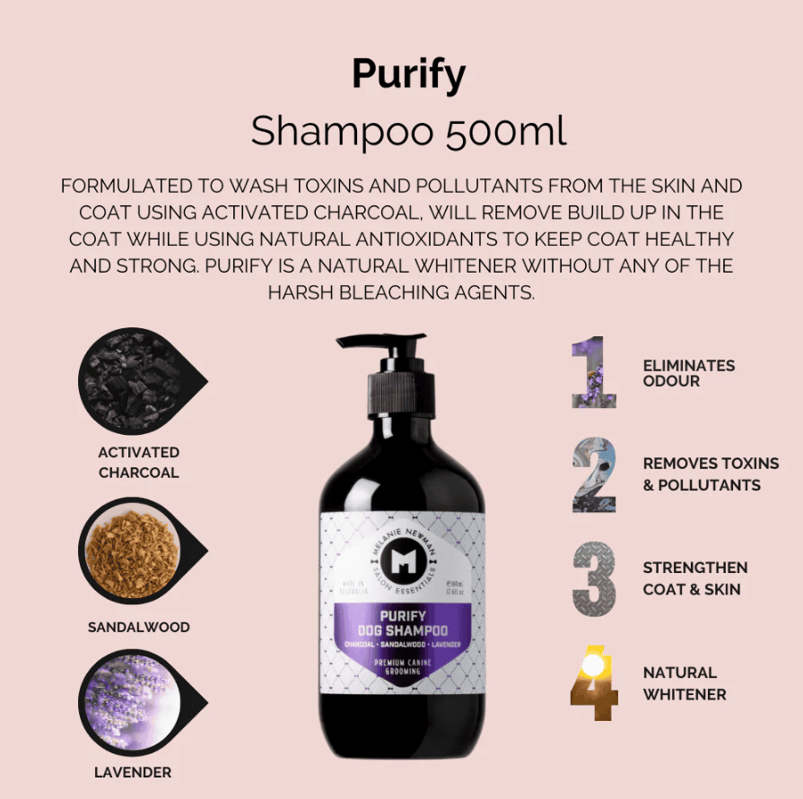 Melanie Newman Purify Shampoo 500ml