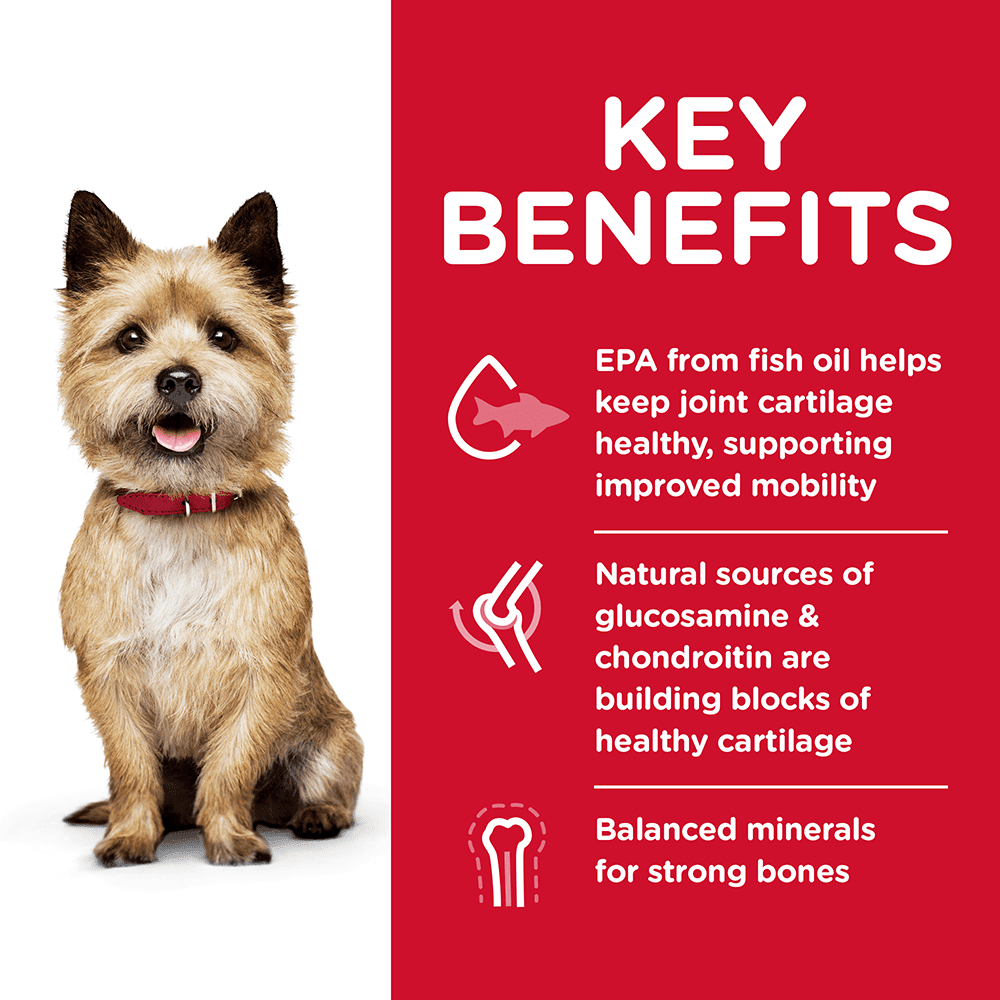 Hills Science Adult Healthy Mobility Dry Dog Food Small Bites