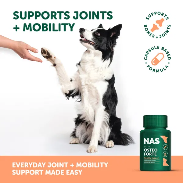 Natural Animal Solutions NAS OsteoForte