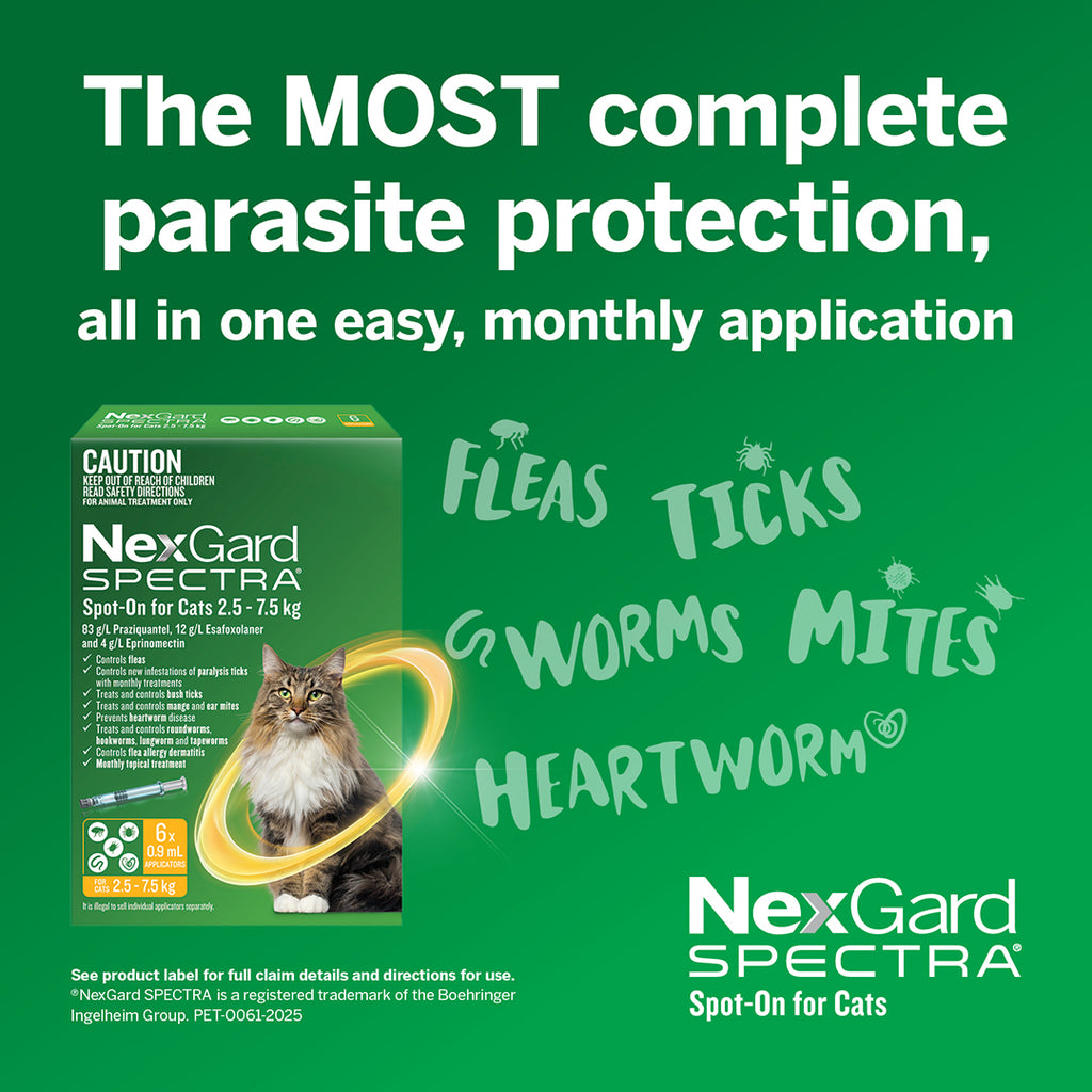 Nexgard Spectra Spot-On For Cats