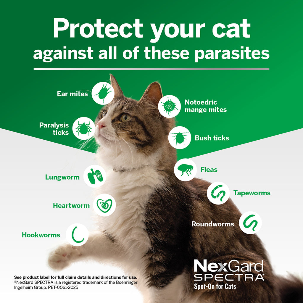 Nexgard Spectra Spot-On For Cats