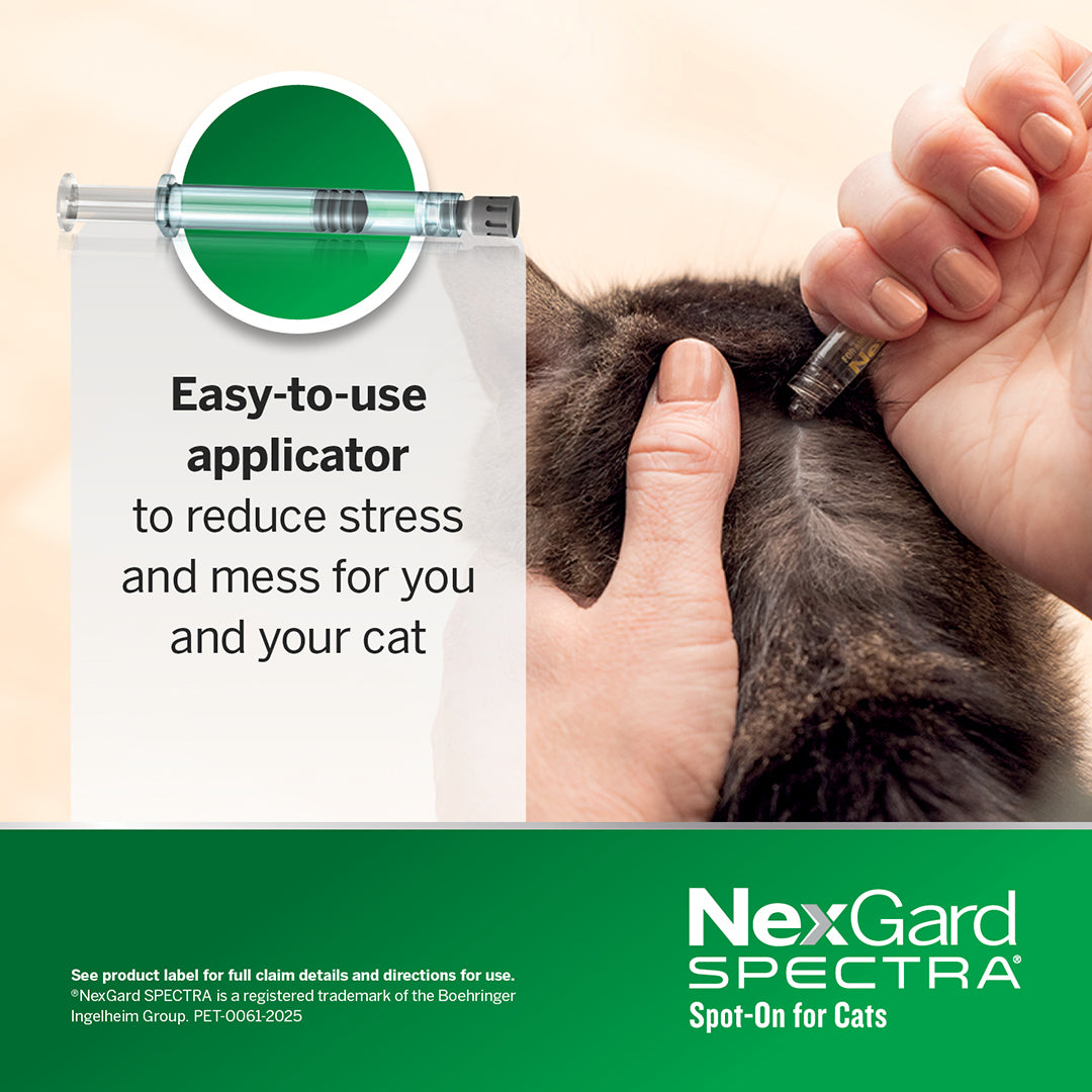 Nexgard Spectra Spot-On For Cats