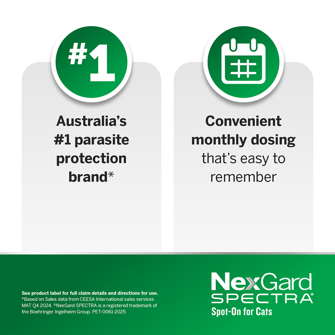 Nexgard Spectra Spot-On For Cats