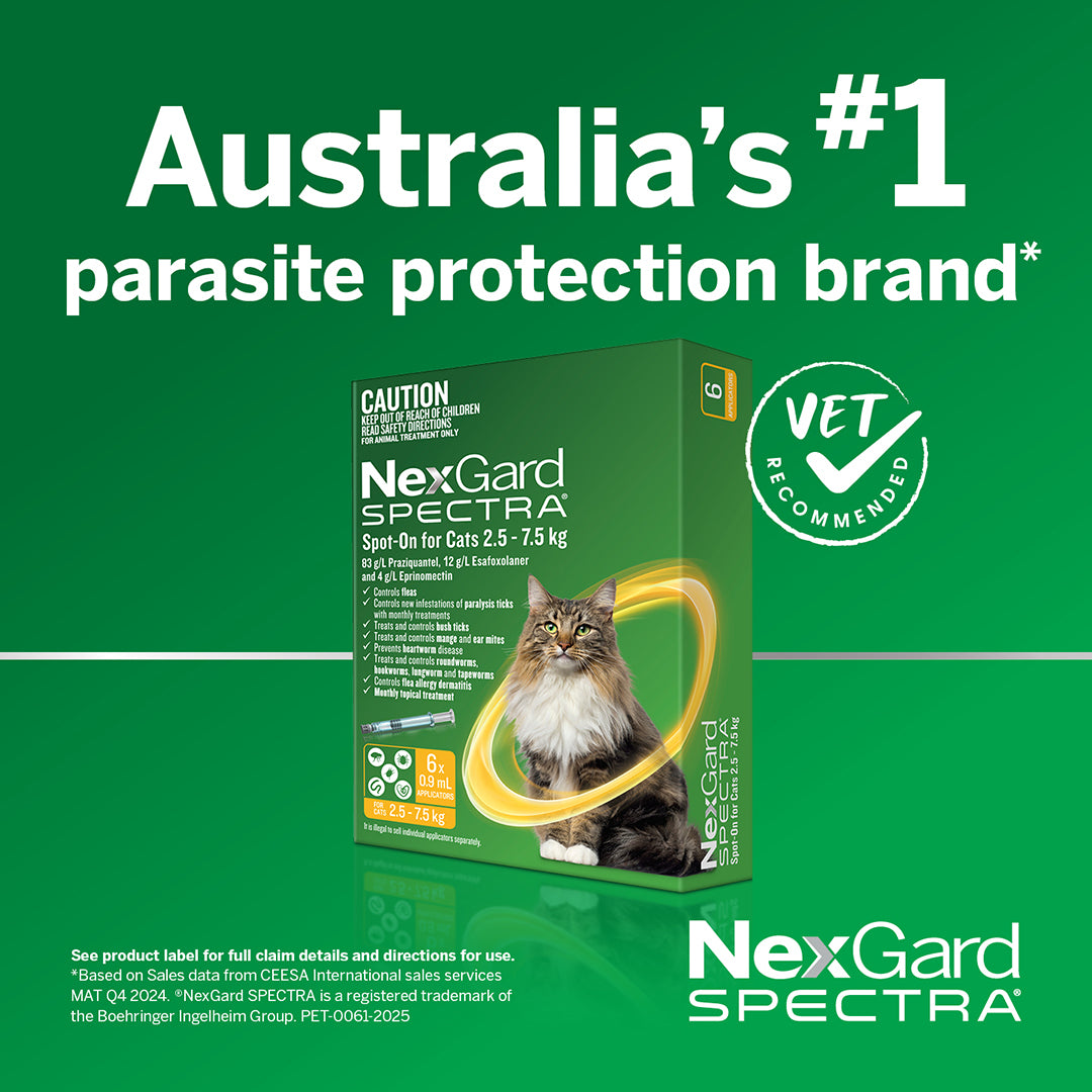 Nexgard Spectra Spot-On For Cats