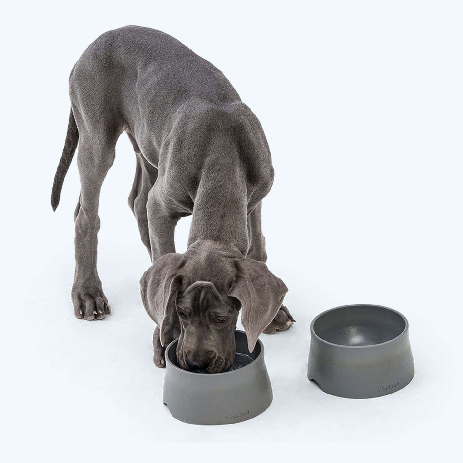 West Paw No-slip Bowl