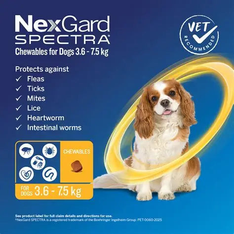 NexGard Spectra Dog Small 3.6-7.5kg Yellow