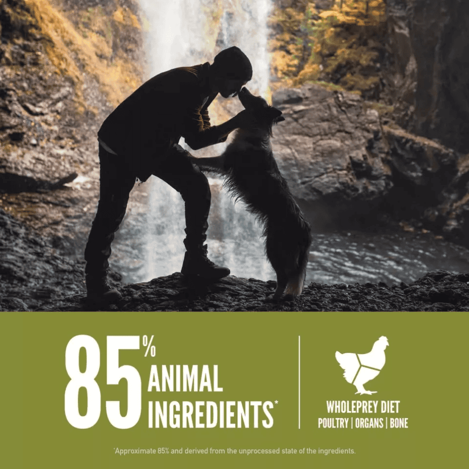 Orijen Senior Dog Food
