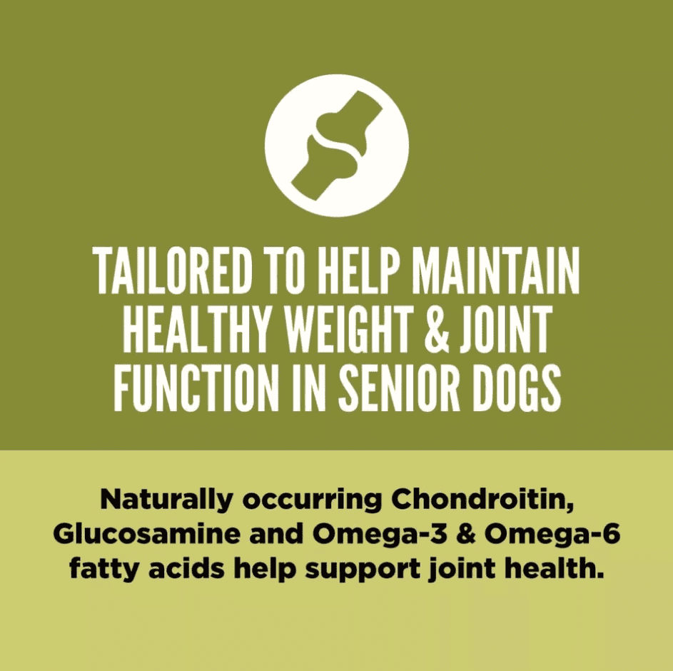 Orijen Senior Dog Food