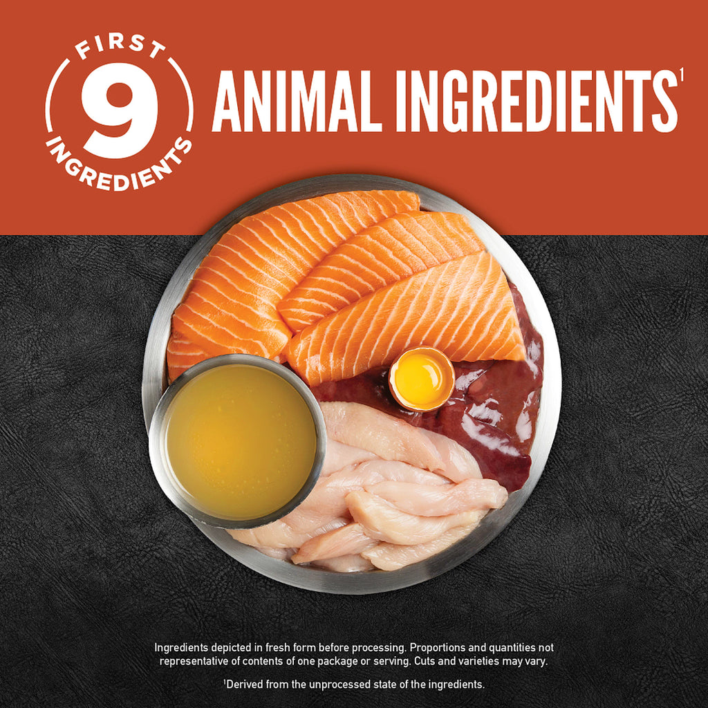 Orijen Chunks and Shreds Salmon & Chicken Wet Cat Food