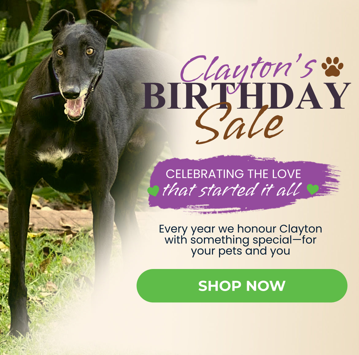 Clayton's Bday - 2026