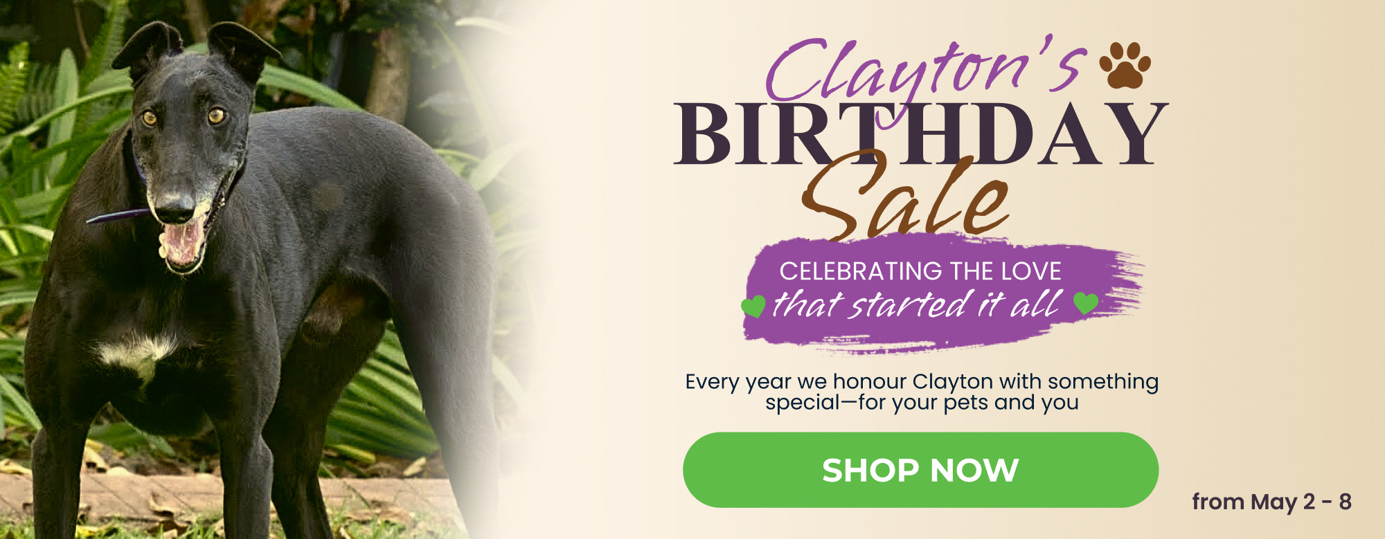 Clayton's Bday - 2026