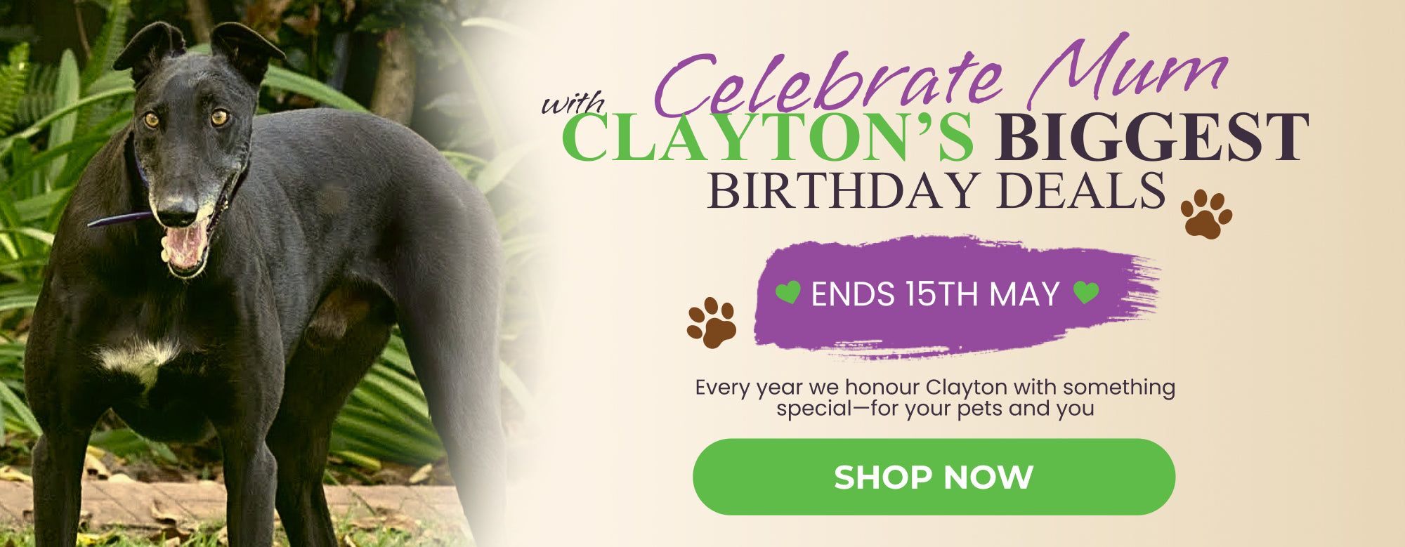 PetNest Clayton's Bday Sale