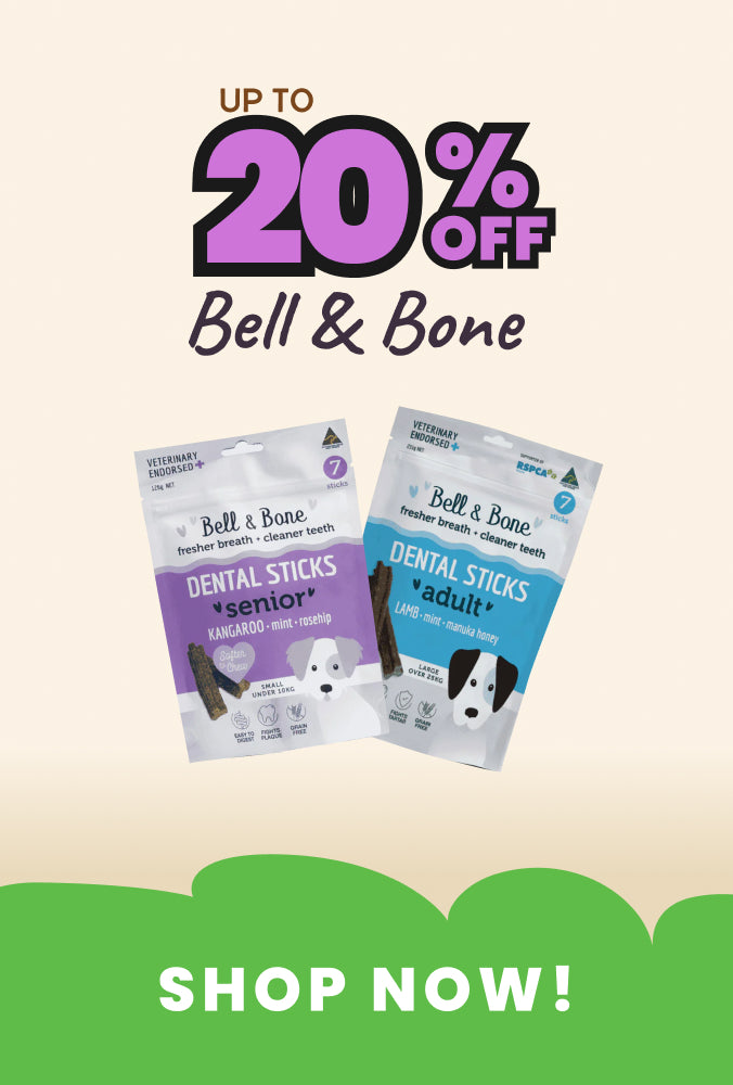 PetNest Bell & Bone sale