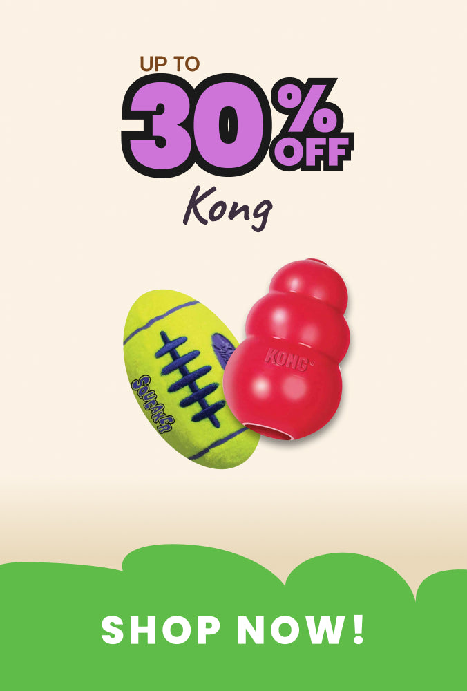 PetNest KONG sale