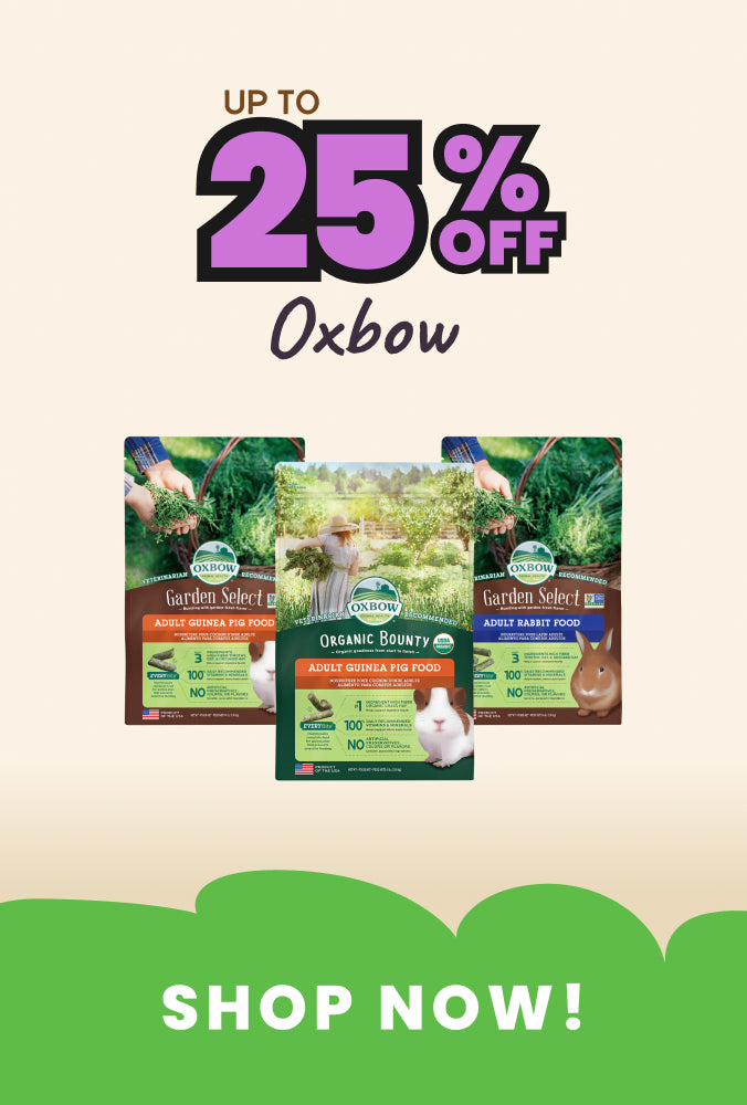 PetNest Oxbow sale