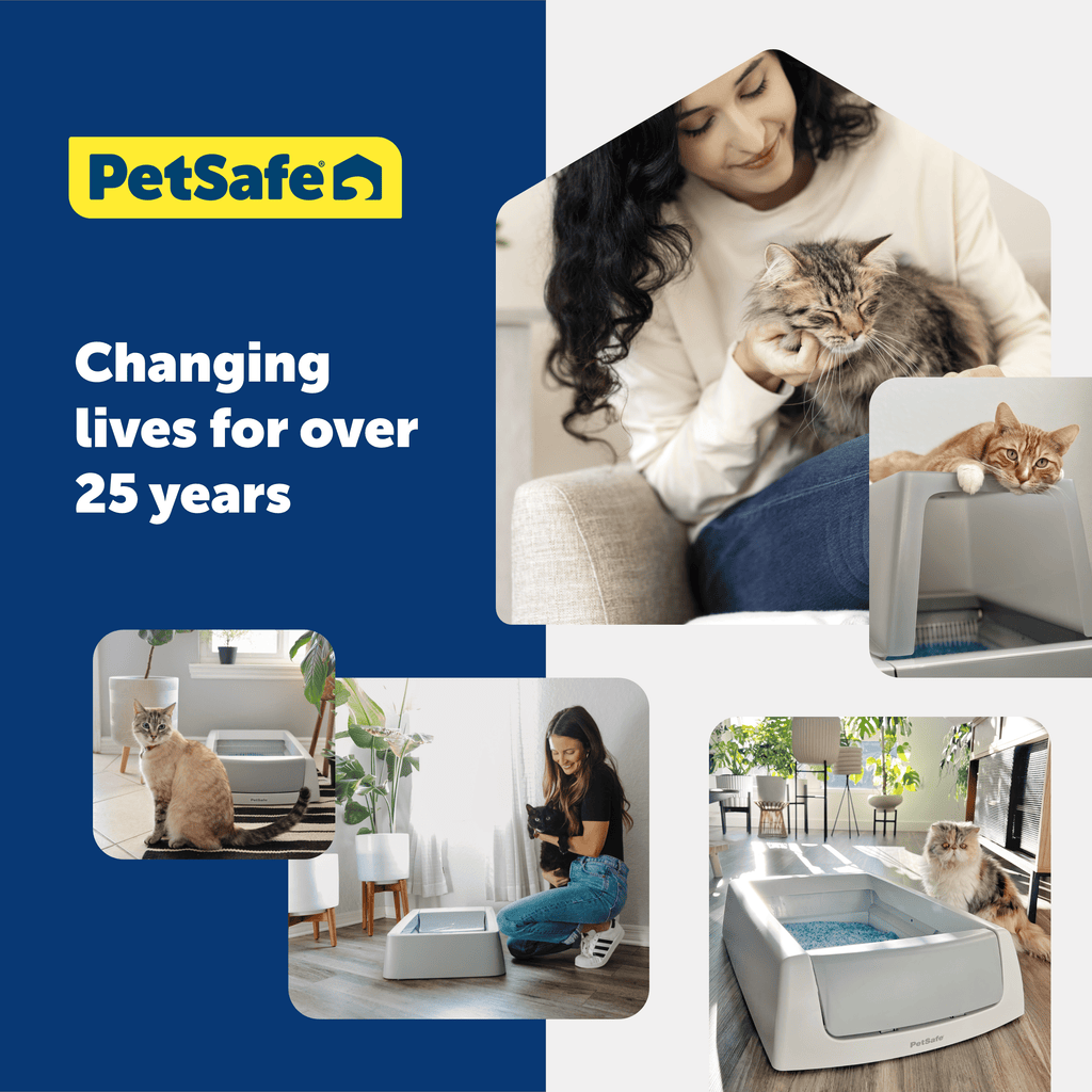 PetSafe Deluxe Crystal Litter Box System