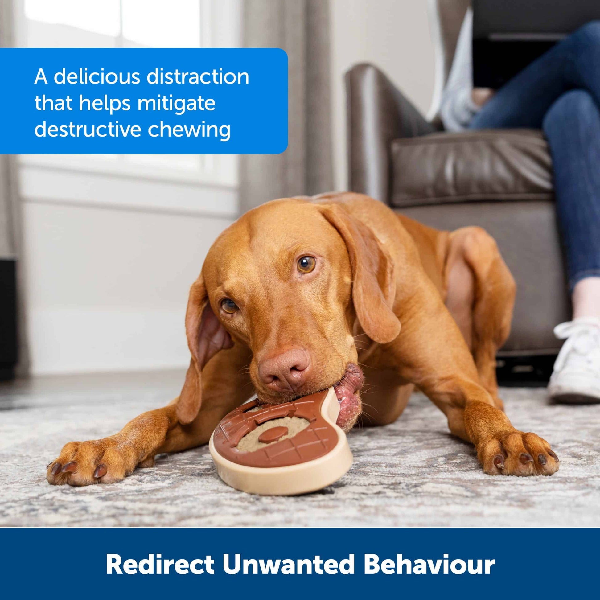 Petsafe Busy Buddy Treat Ring Refills