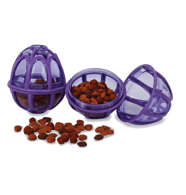 Petsafe Busy Buddy Kibble Nibble Feeder Ball