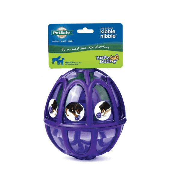 Petsafe Busy Buddy Kibble Nibble Feeder Ball