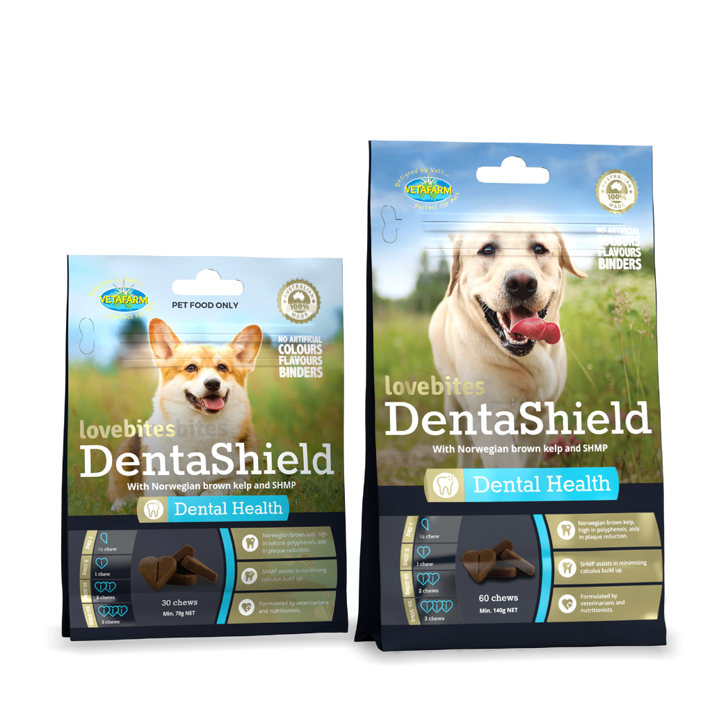 Vetafarm Lovebites Denta Shield for Dogs