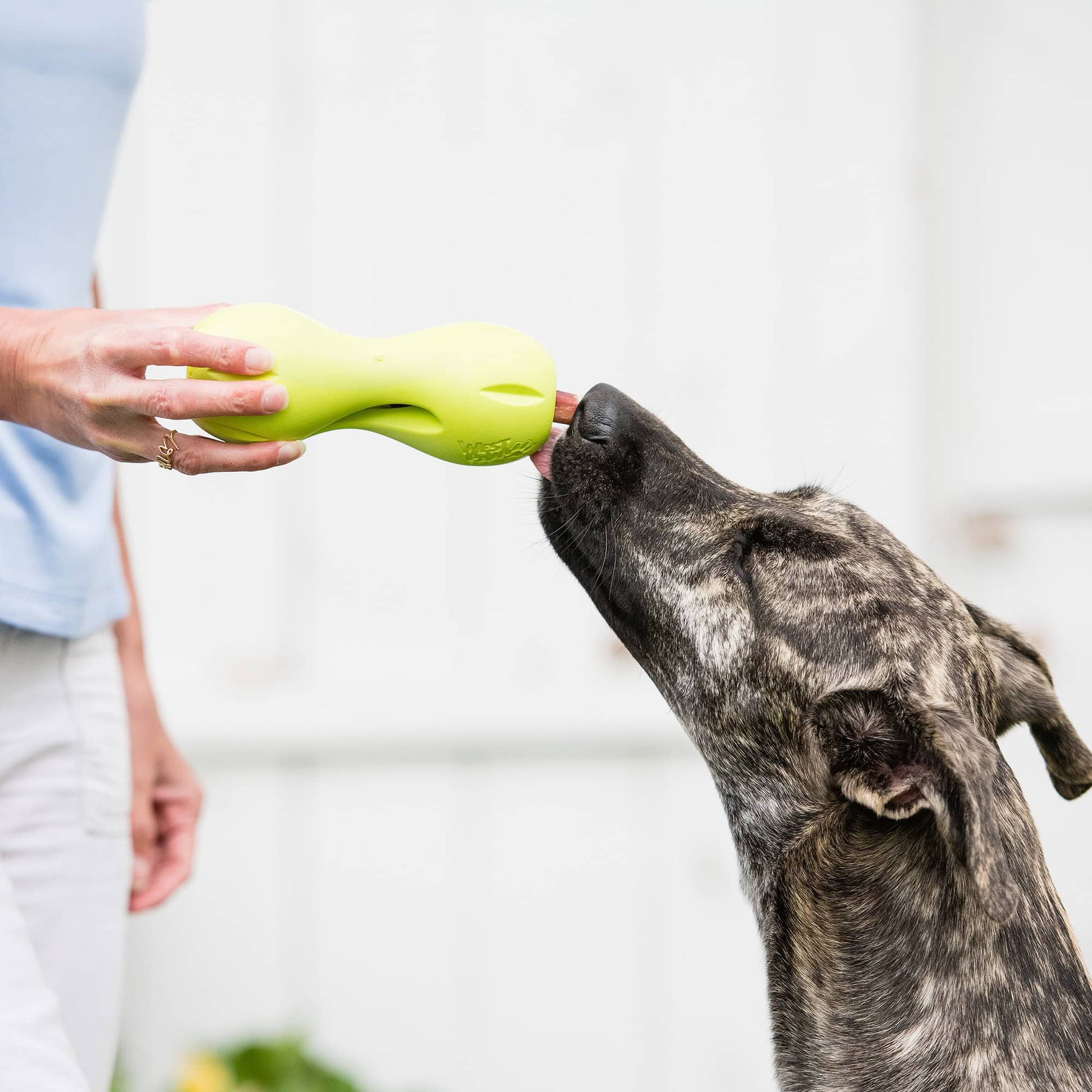 West Paw Qwizl Tough Puzzle