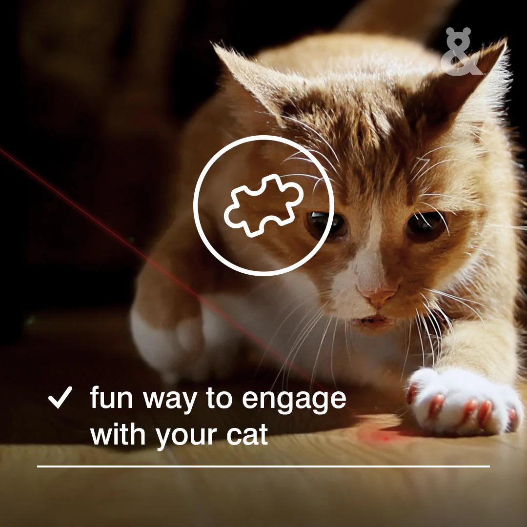Rufus & Coco Laser Cat Toy