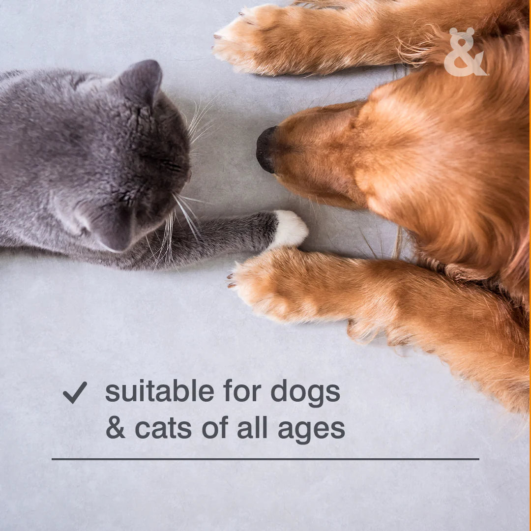 Rufus & Coco Self Cleaning Cat & Dog Slicker Brush