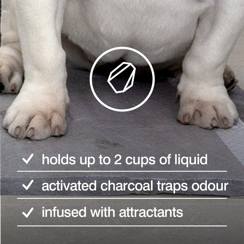 Rufus & Coco Posh Pee Pads - 7 Pack