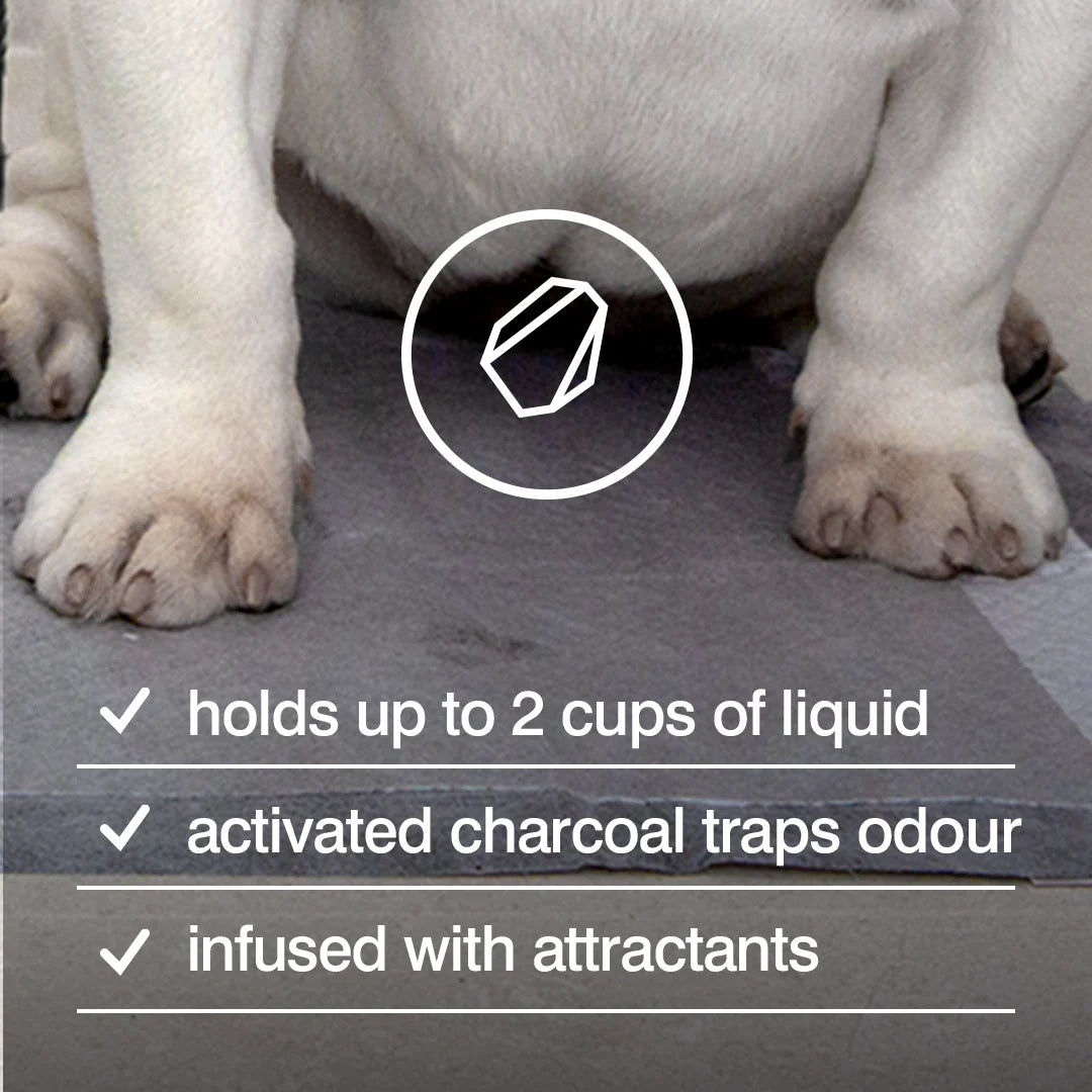 Rufus & Coco Posh Pee Pads - 7 Pack