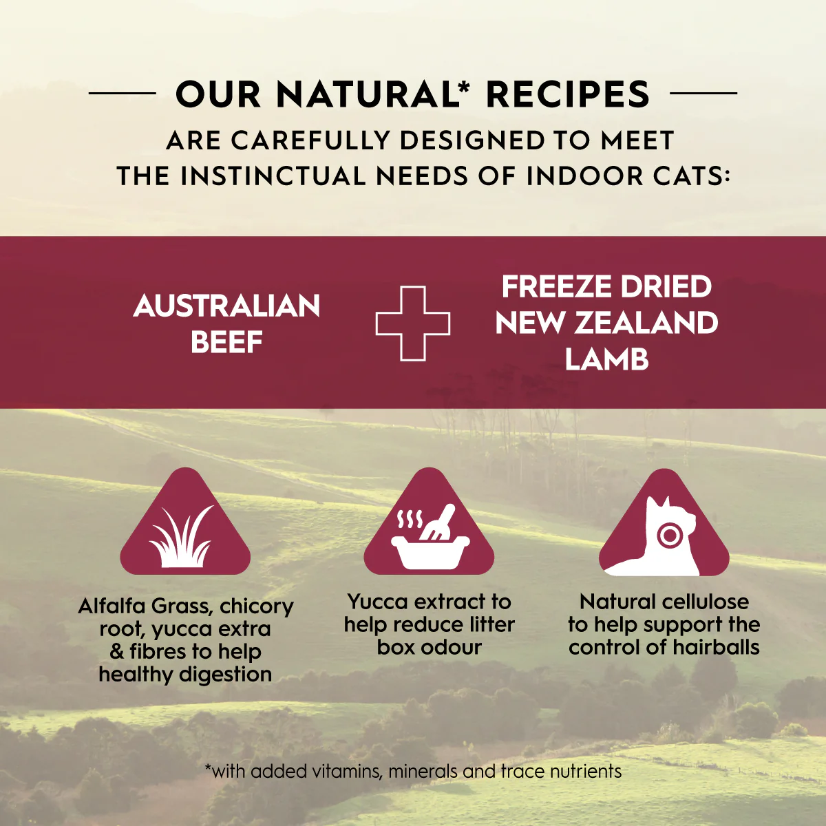 Trilogy Adult Cat Food Beef