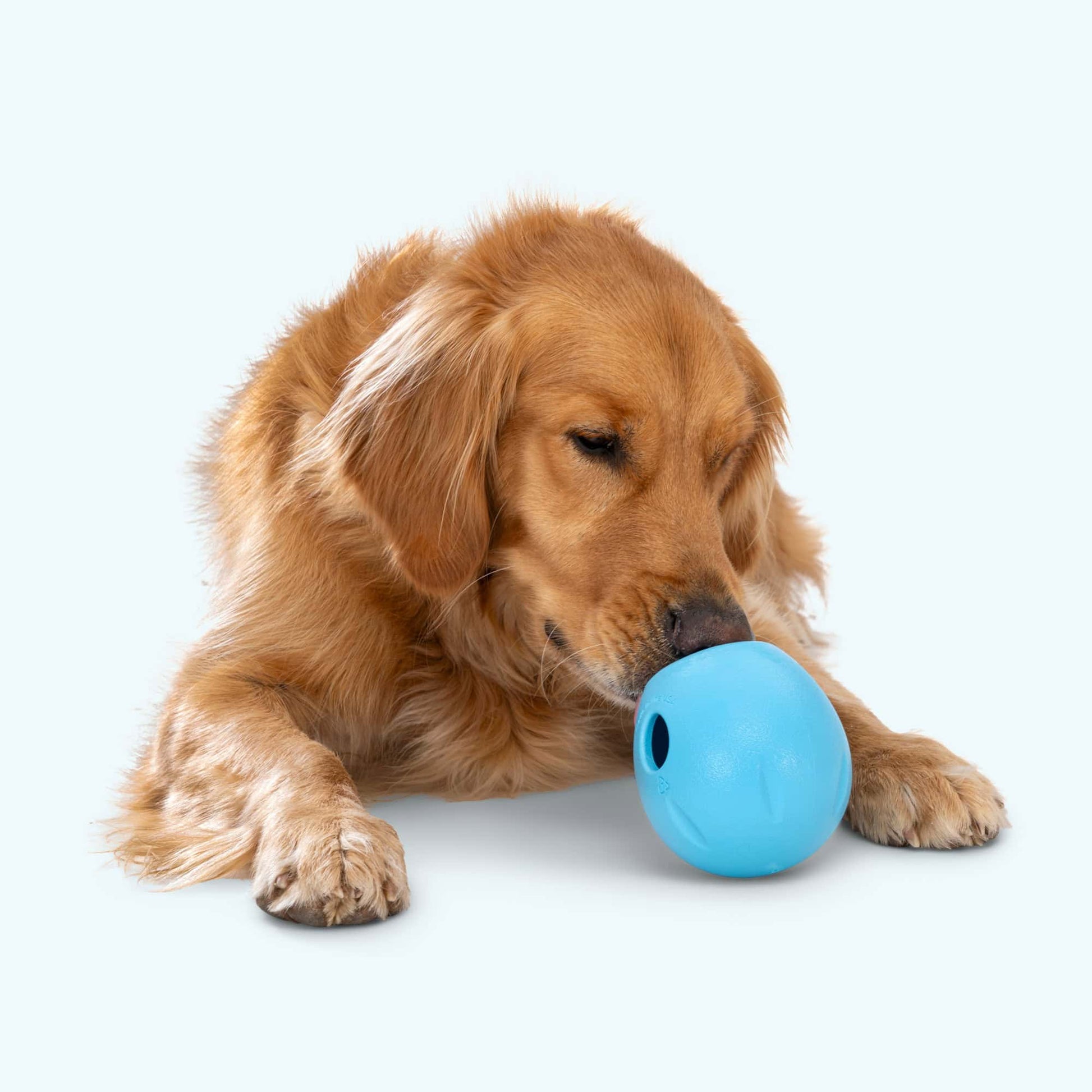 West Paw Rumbl Puzzle Toy