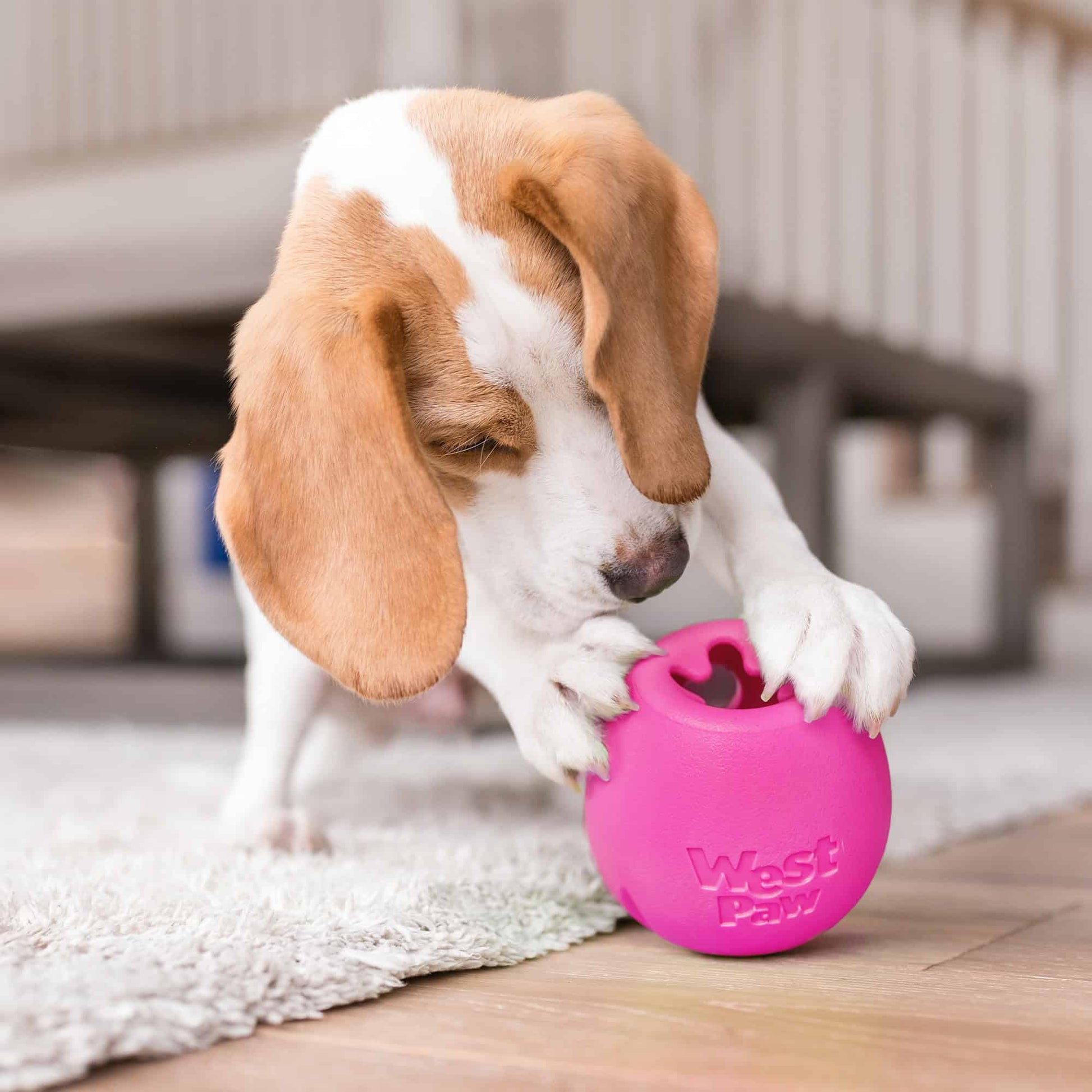 West Paw Rumbl Puzzle Toy