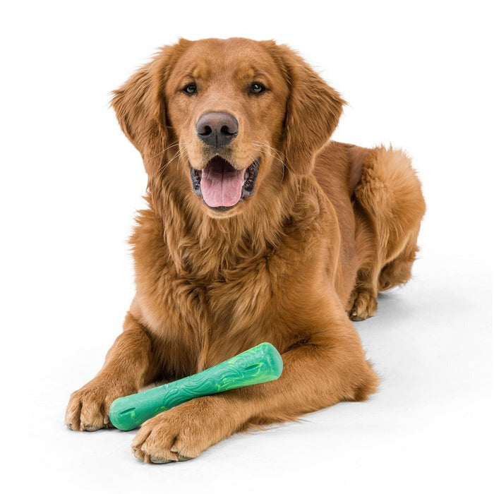 West Paw Drifty Fetch Toy
