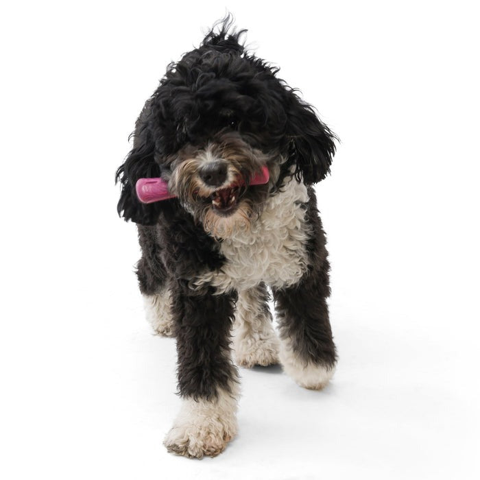 West Paw Drifty Fetch Toy