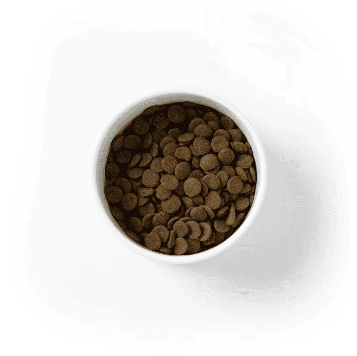 Savourlife Grain-Free Salmon Dry Dog Food 10kg