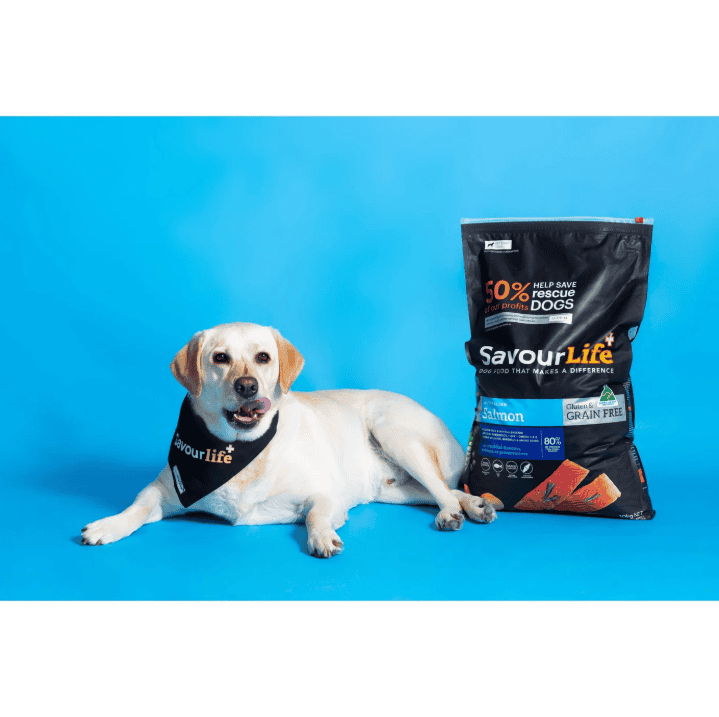 Savourlife Grain-Free Salmon Dry Dog Food 10kg