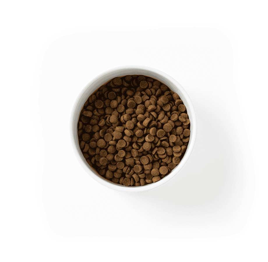 SavourLife Essentials Puppy Dog Food Chicken