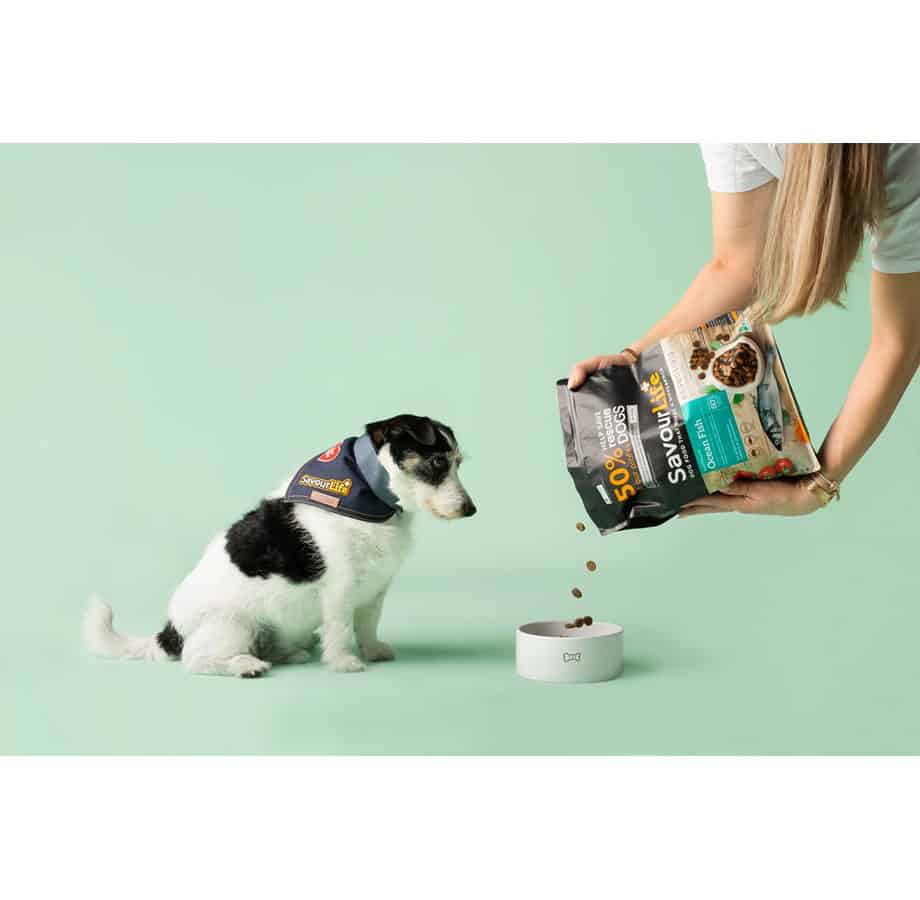 Savourlife Essentials Adult Dog Food Ocean Fish