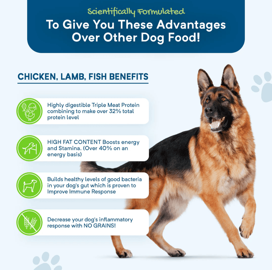 Stay Loyal Original Dog Food Chicken Lamb & Fish Grain Free