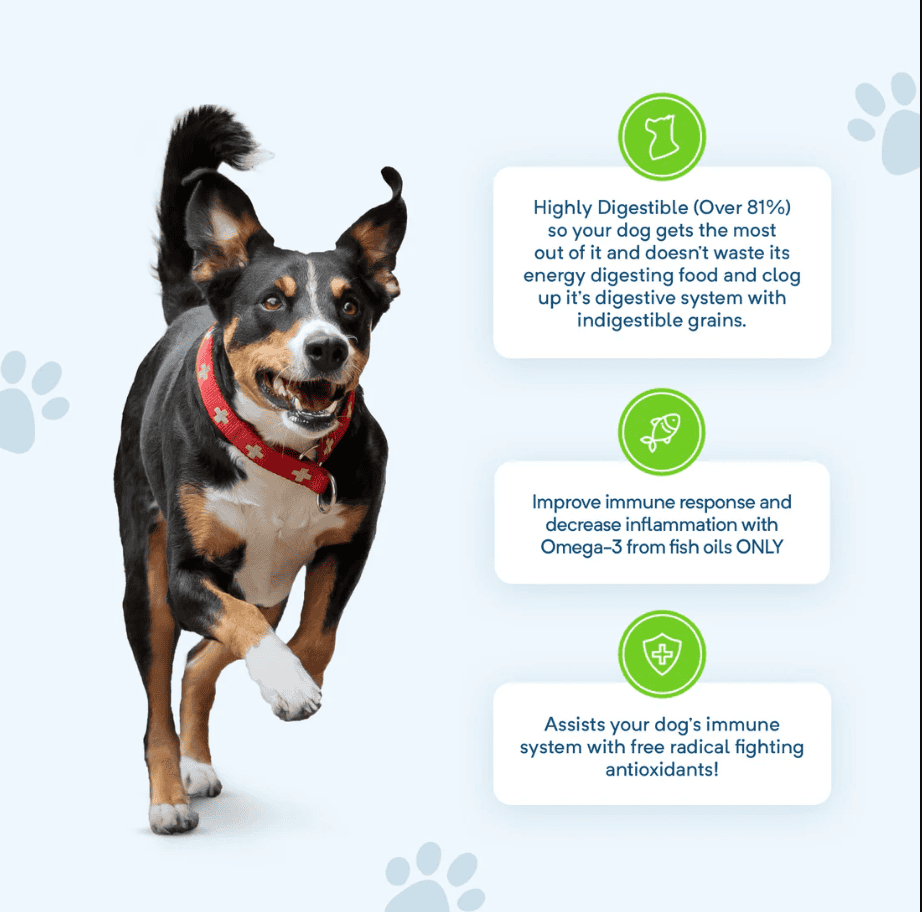 Stay Loyal Original Dog Food Chicken Lamb & Fish Grain Free