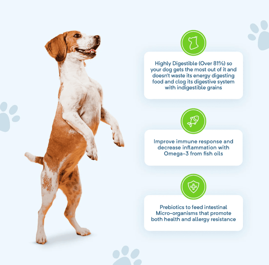 Stay Loyal Premium Dog Food Salmon Turkey & Pork Grain Free