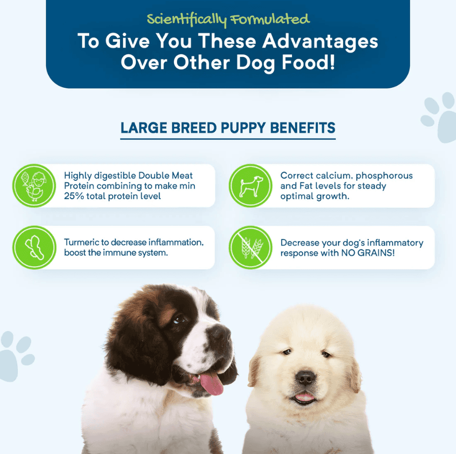 Stay Loyal Premium Large Breed Puppy Grain Free Food 13kg (Clearance)