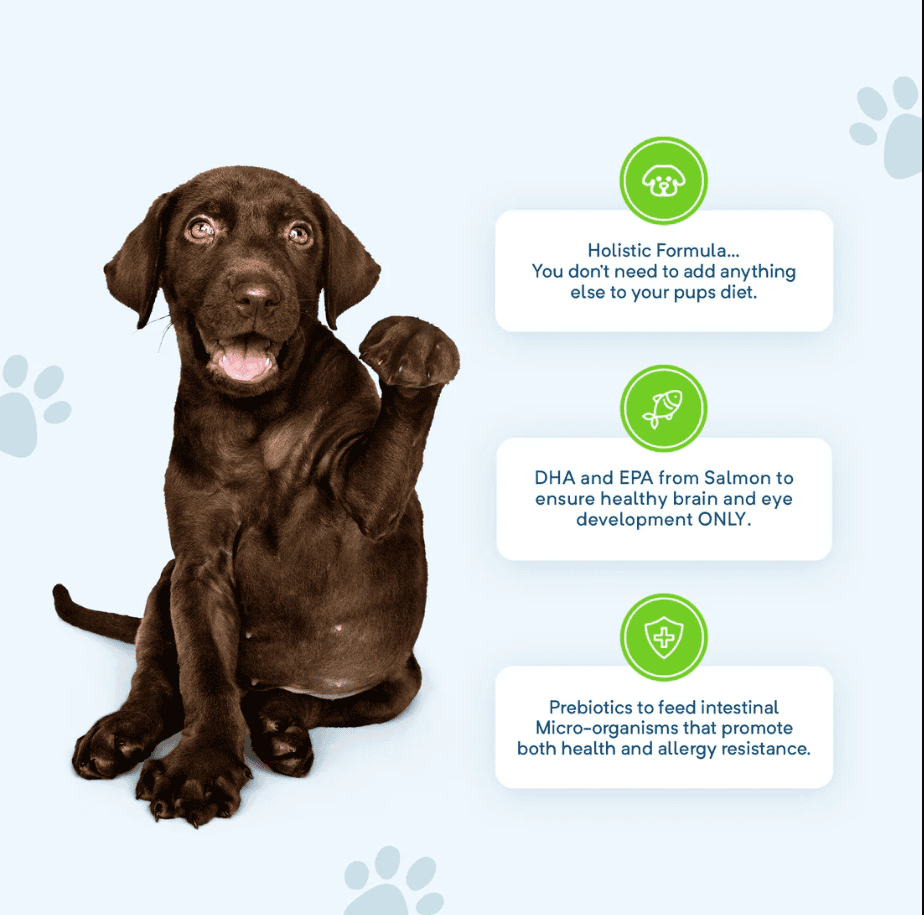 Stay Loyal Premium Large Breed Puppy Grain Free Food 13kg