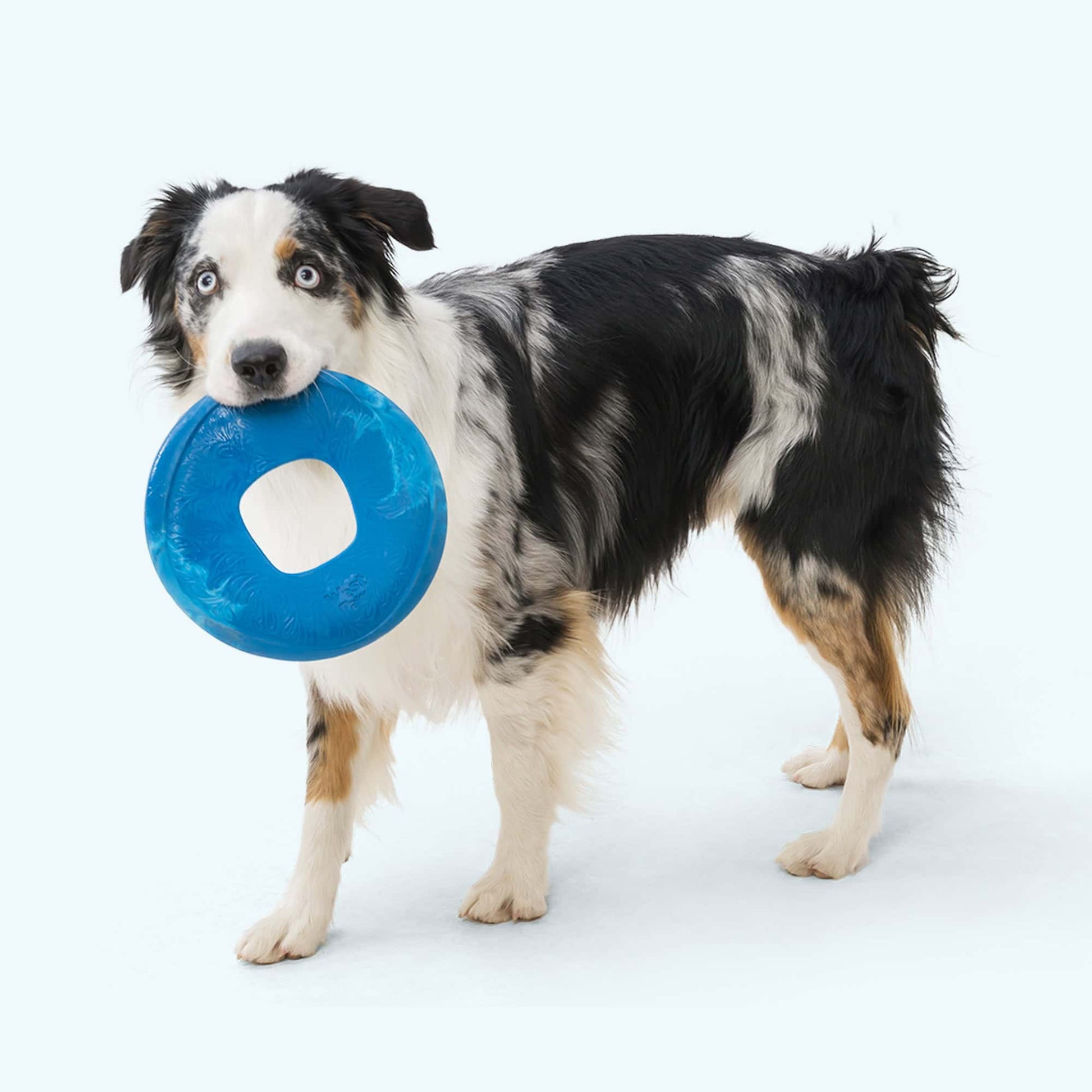 West Paw Sailz Flying Chew Toy