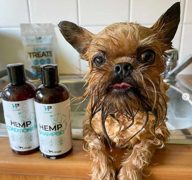 HempPet Hemp Oil Dog Shampoo 250ml