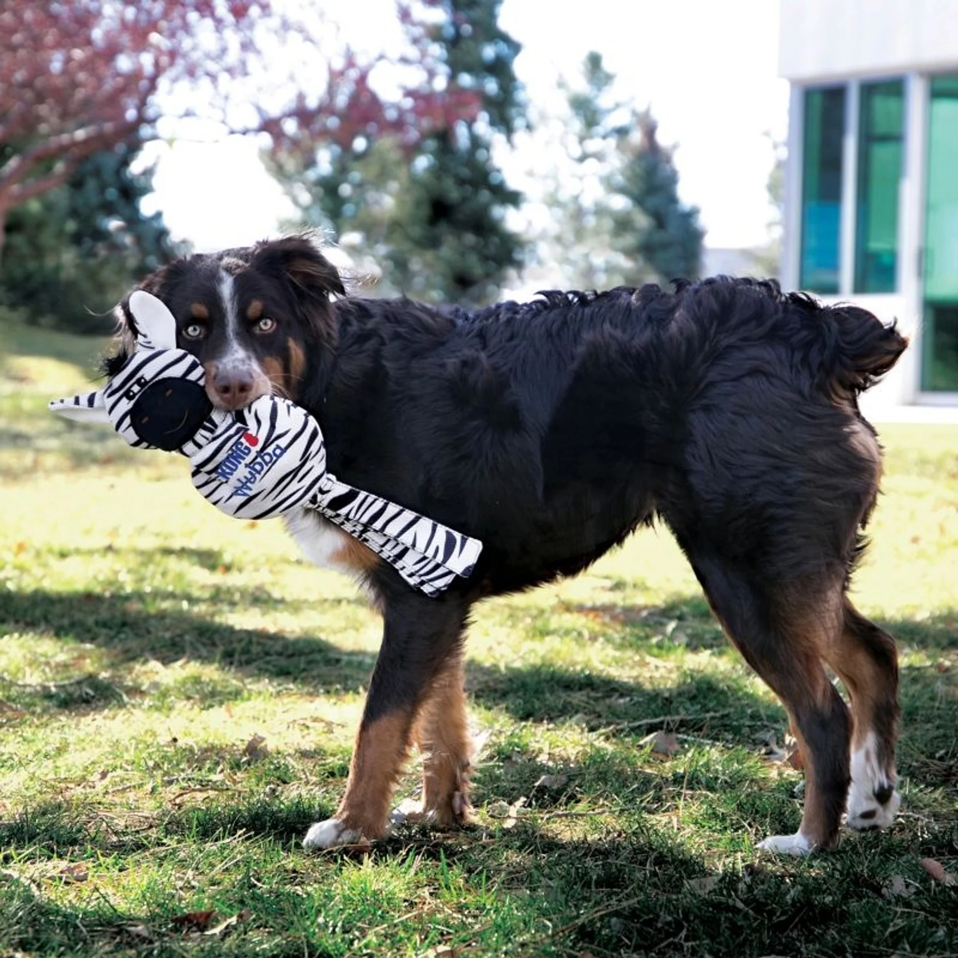 Kong Wubba No Stuff Girrafe Large Dog Toy