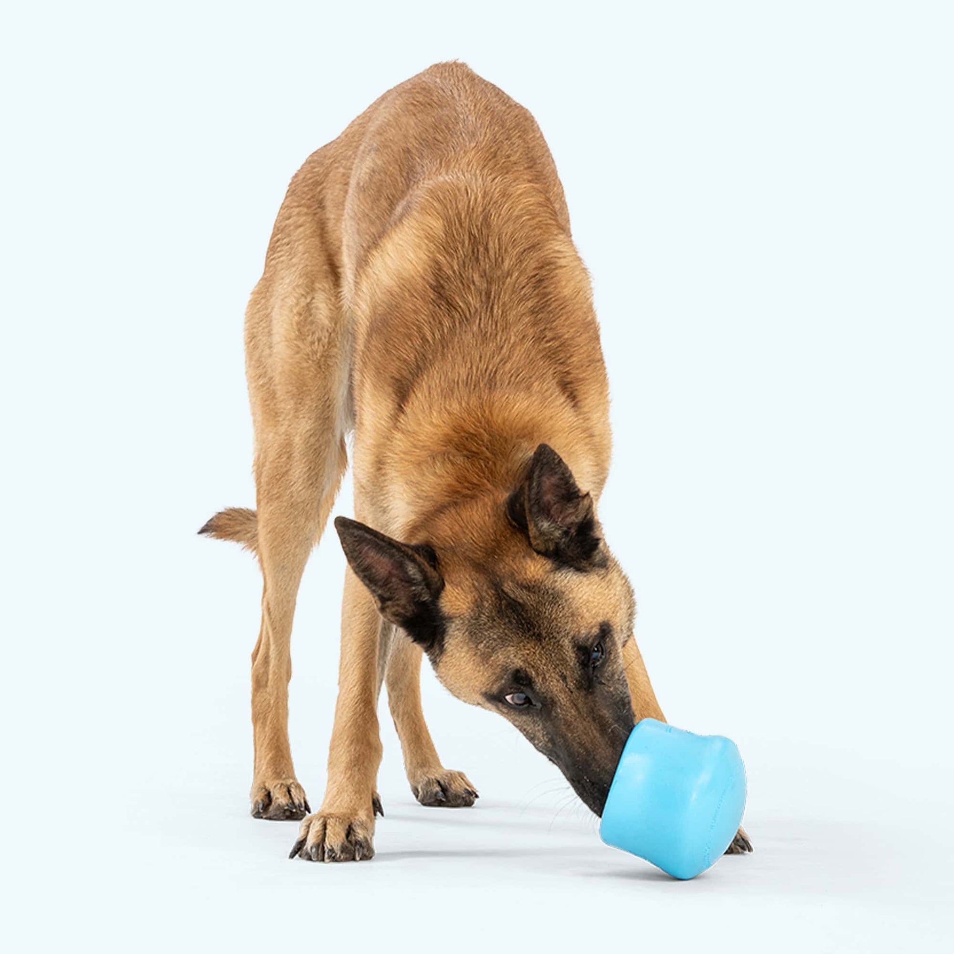 West Paw Toppl Puzzle Toy