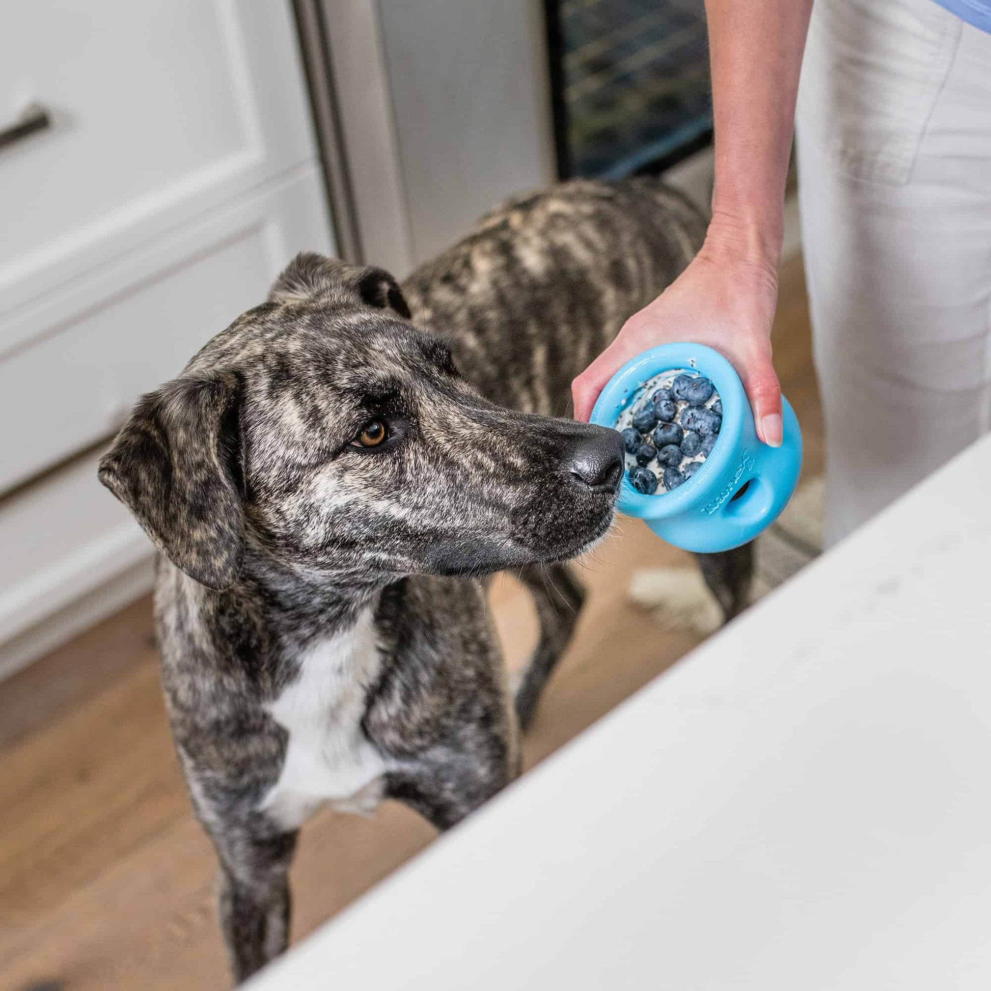 West Paw Toppl Puzzle Toy
