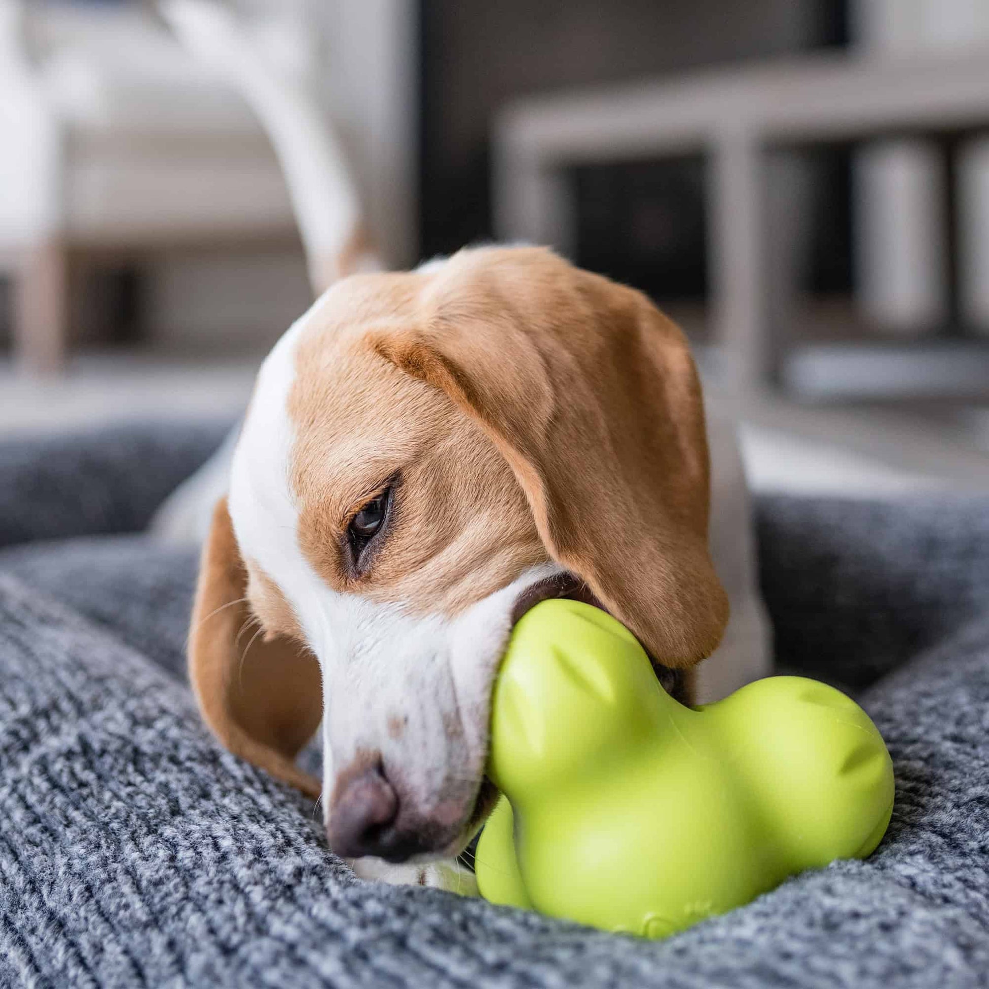 West Paw Tux Tough Puzzle Toy